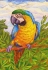 Попугай Раскраска акварелью, 30 см х 21 см Серия: Joy of creation инфо 8418i.